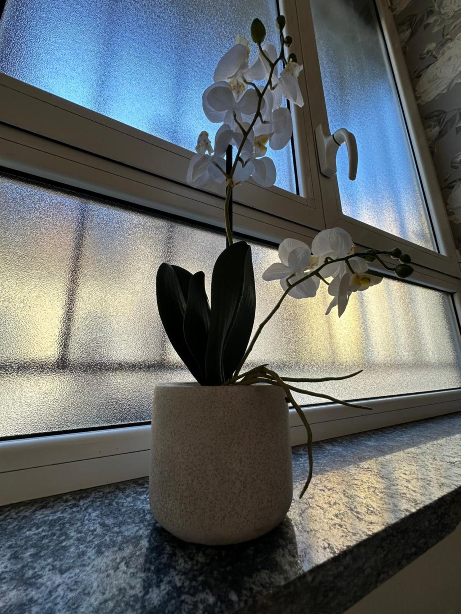 Flowers, A Cozy Suite In Milán Exterior foto